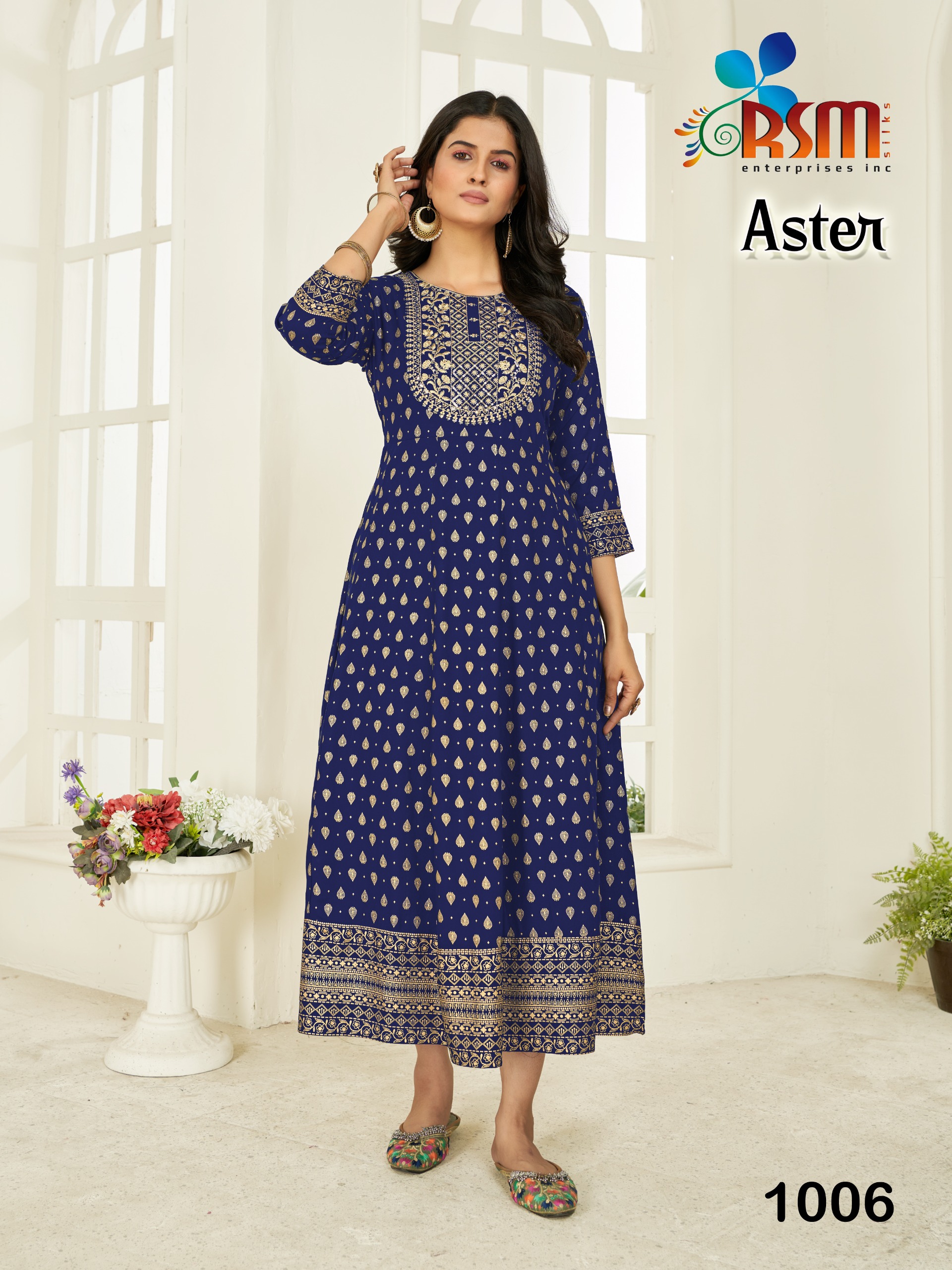Aster-1006